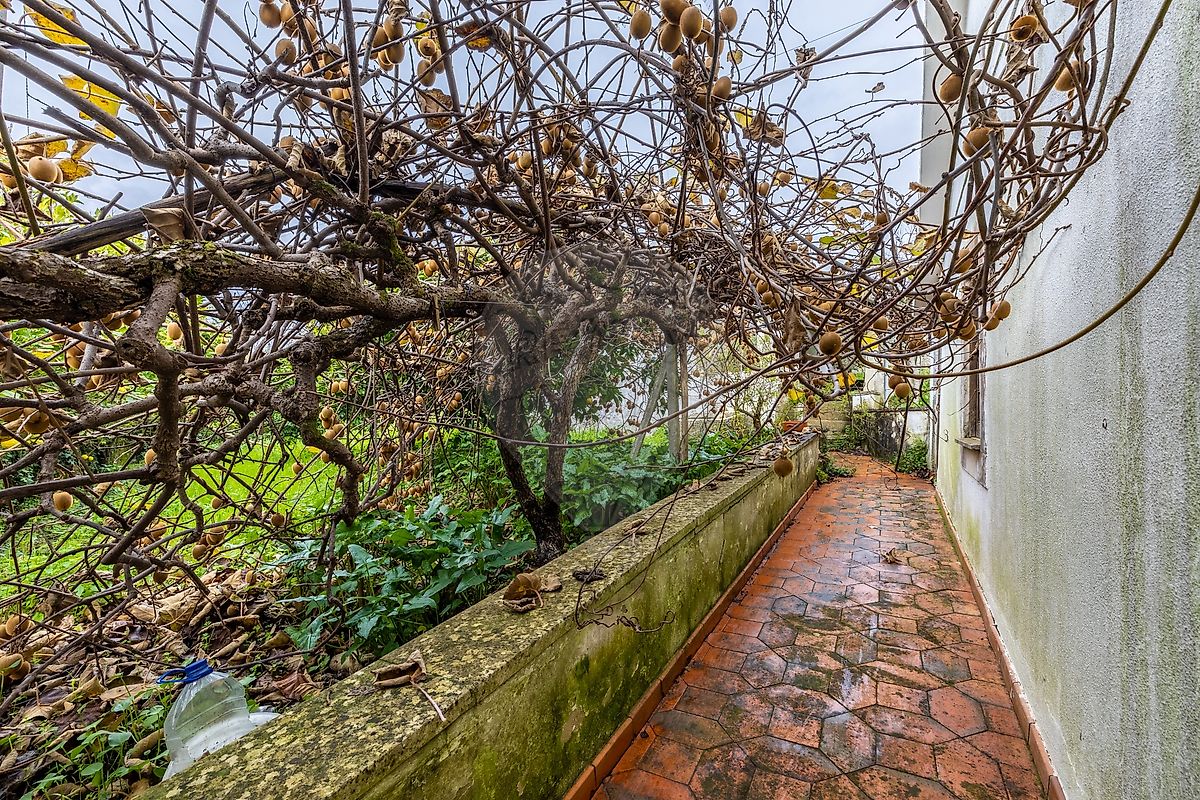 Moradia T2 à venda em Alvados e Alcaria, Porto de Mós — foto 25