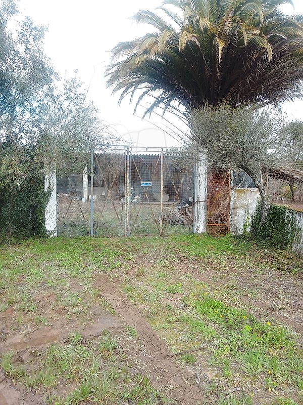 Armazém - Alvados e Alcaria, Porto de Mós, Leiria