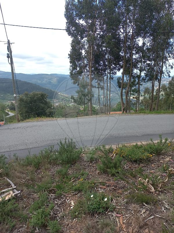 Terreno - Fornelos, Cinfães, Viseu