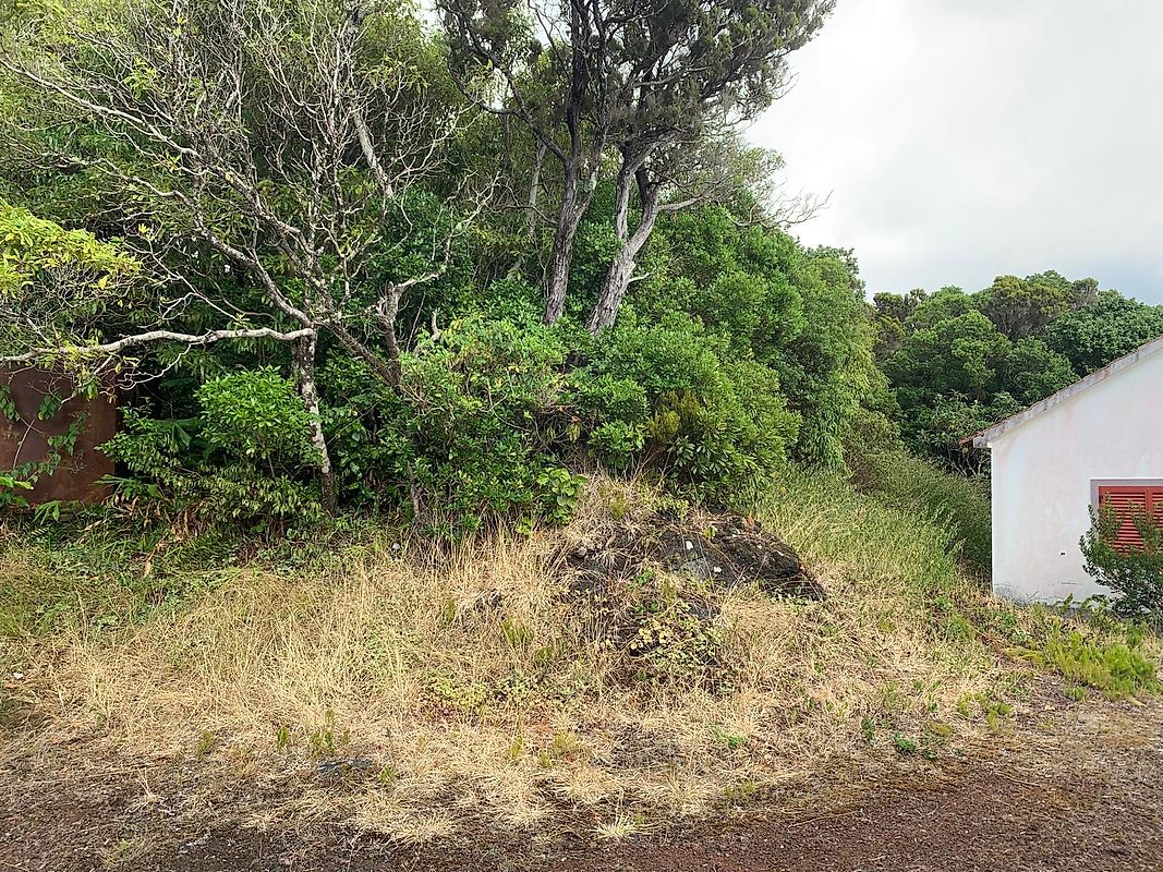 Moradia T2 à venda em Capelo, Horta — foto 7