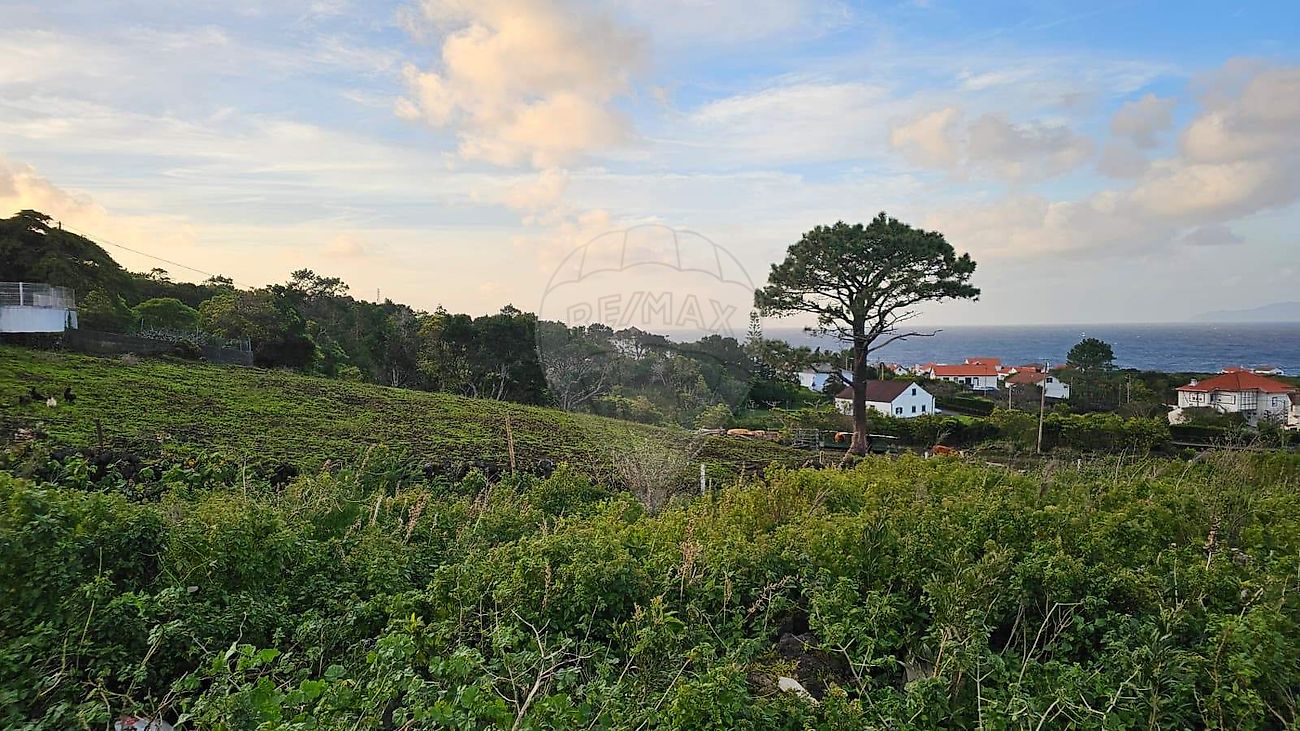 Terreno à venda em São Roque do Pico