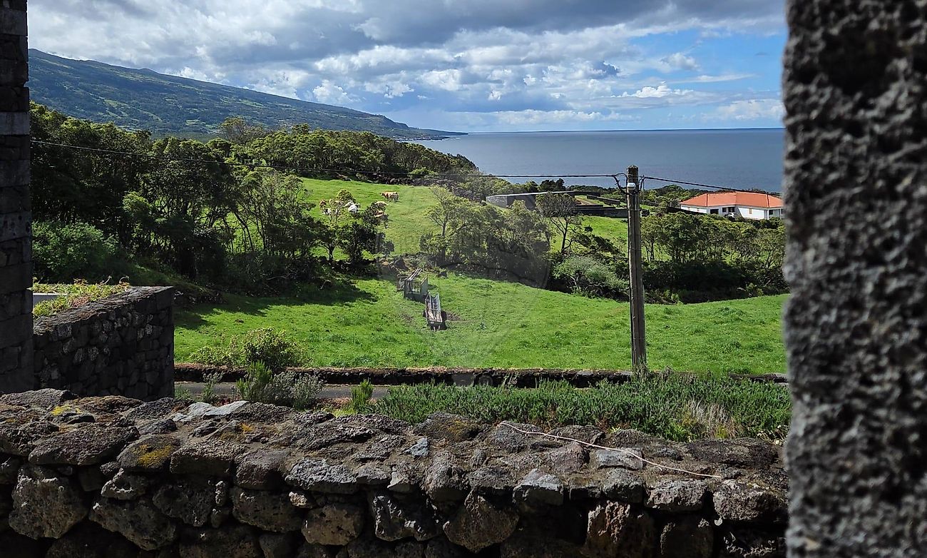 Moradia T2 à venda em Santo Amaro, São Roque do Pico — foto 30