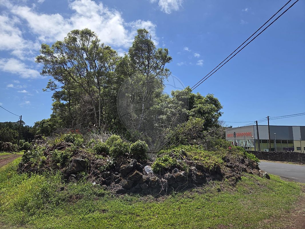 Terreno - Madalena, Madalena, Ilha do Pico