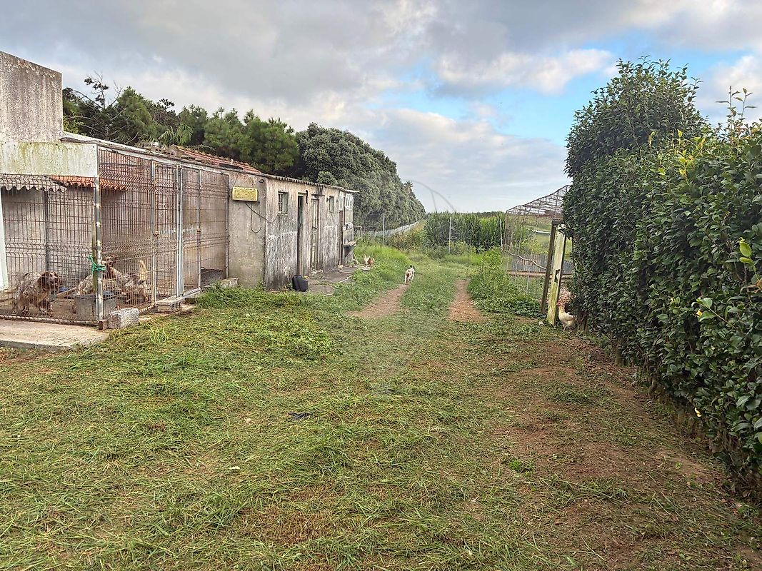 Moradia T2 à venda em Feteira, Horta — foto 7