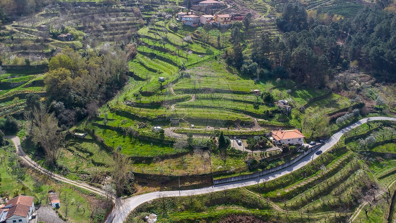 Quinta - Anreade e São Romão de Aregos, Resende, Viseu