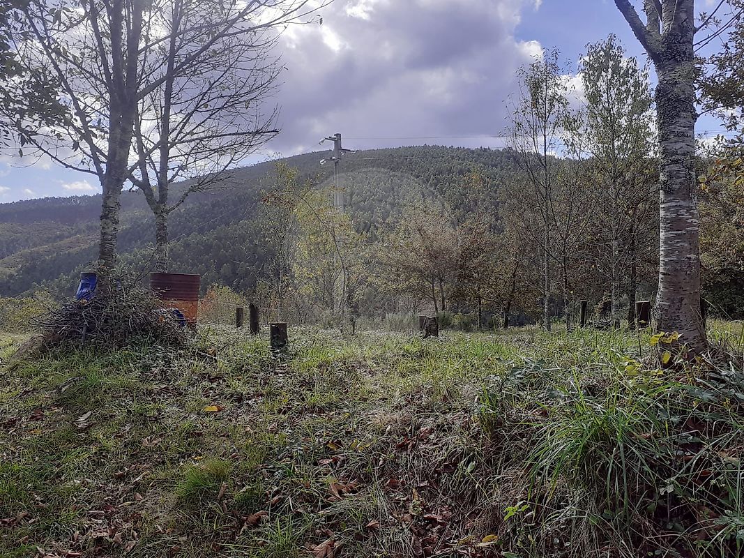 Terreno - Belazaima do Chão, Castanheira do Vouga e Agadão, Águeda, Aveiro