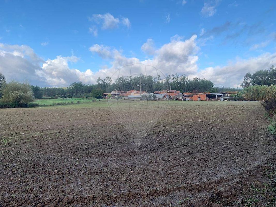 Terreno à venda em Montemor-o-Velho