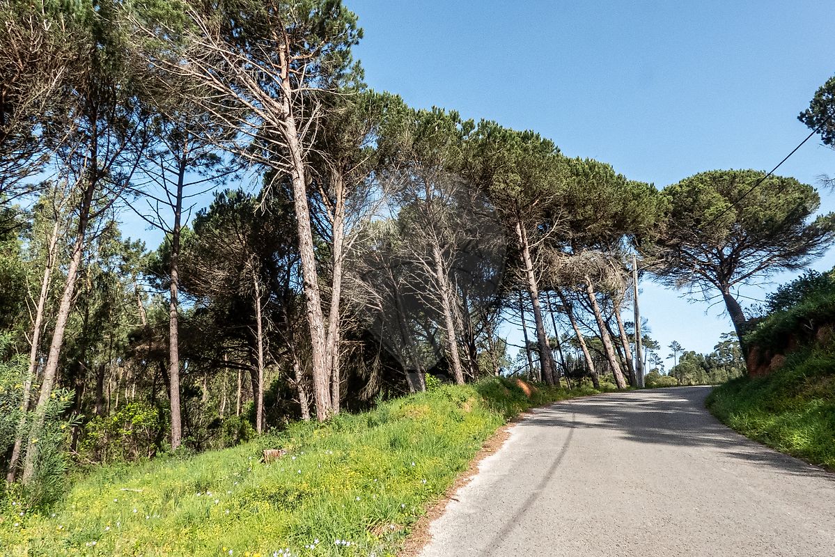 Terreno à venda em Figueira da Foz