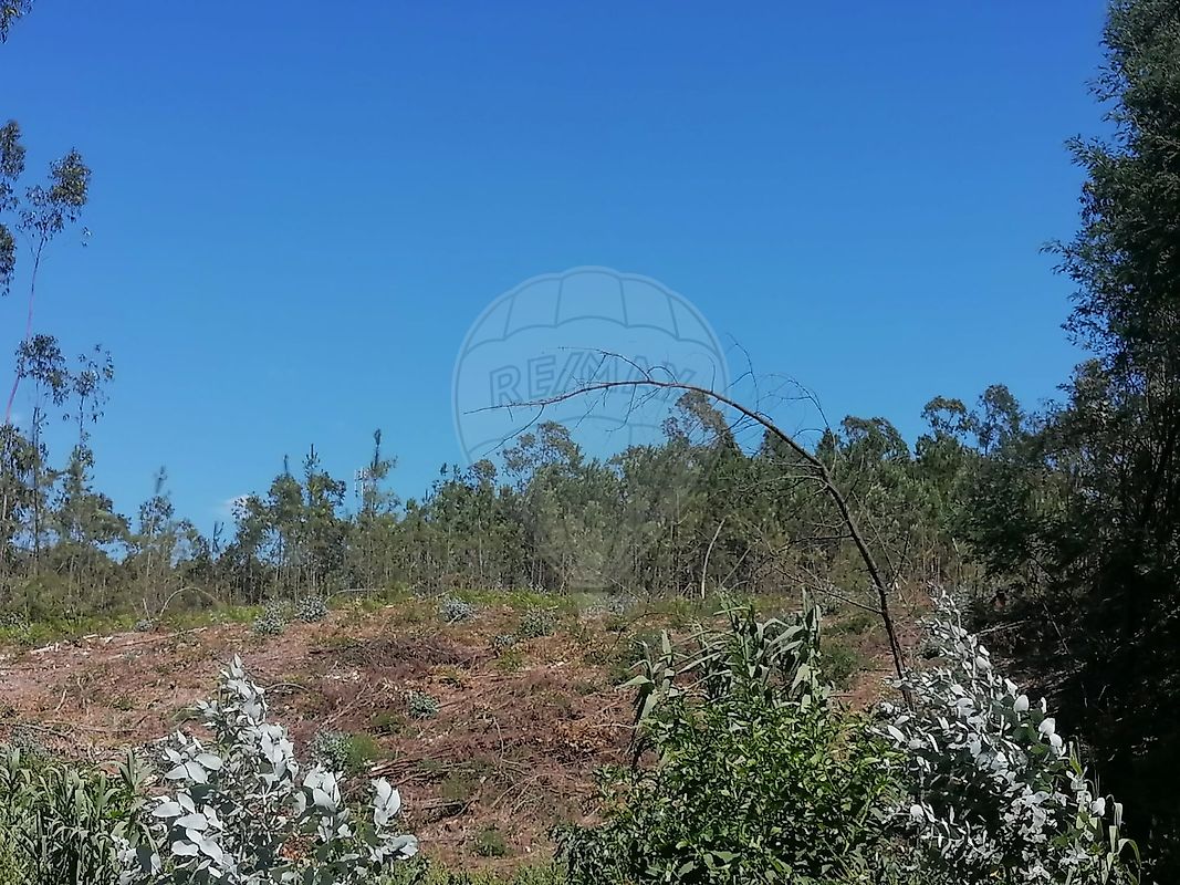 Terreno para venda