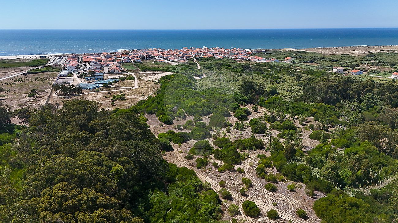 Terreno  à venda em Figueira da Foz