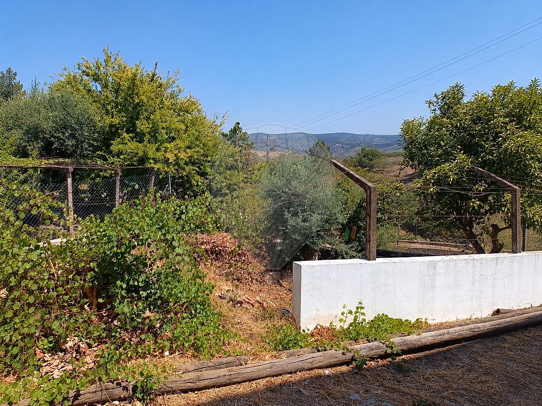Moradia T3 à venda em Ortiga, Mação — foto 6