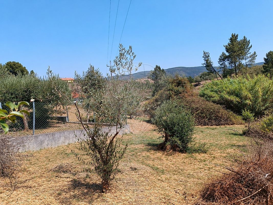 Moradia T3 à venda em Ortiga, Mação — foto 10
