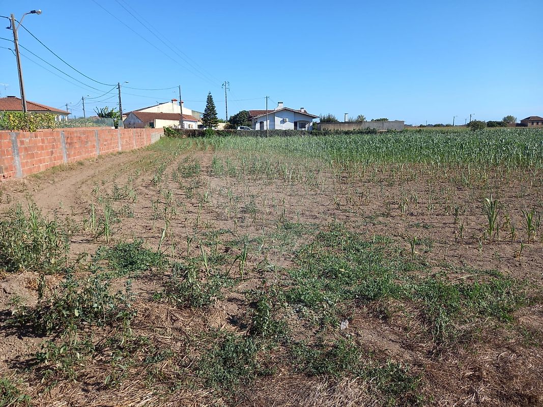 Terreno  à venda em Ovar