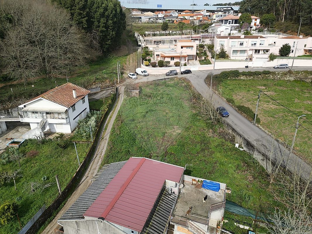 10113c6a-91e3-48e2-8d54-c56119f9728c.jpg - miniatura 4