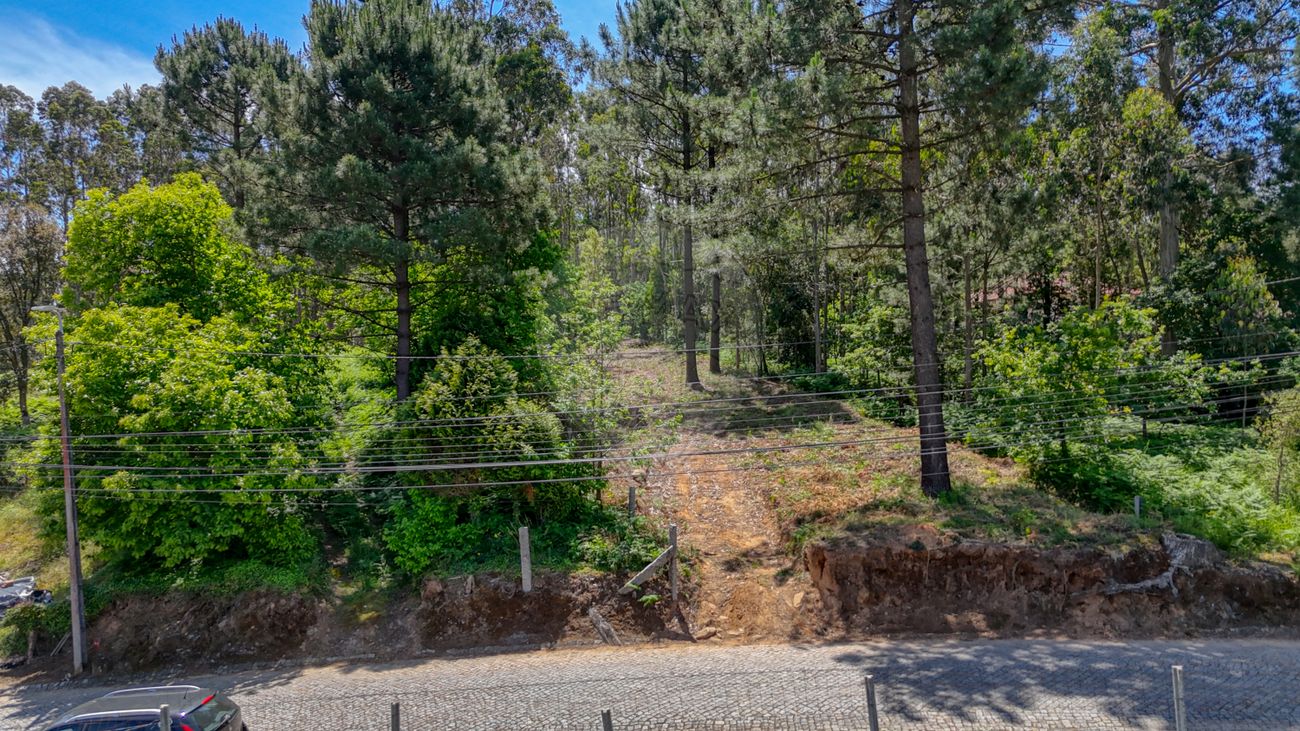 listing 125471262-24 picture-0