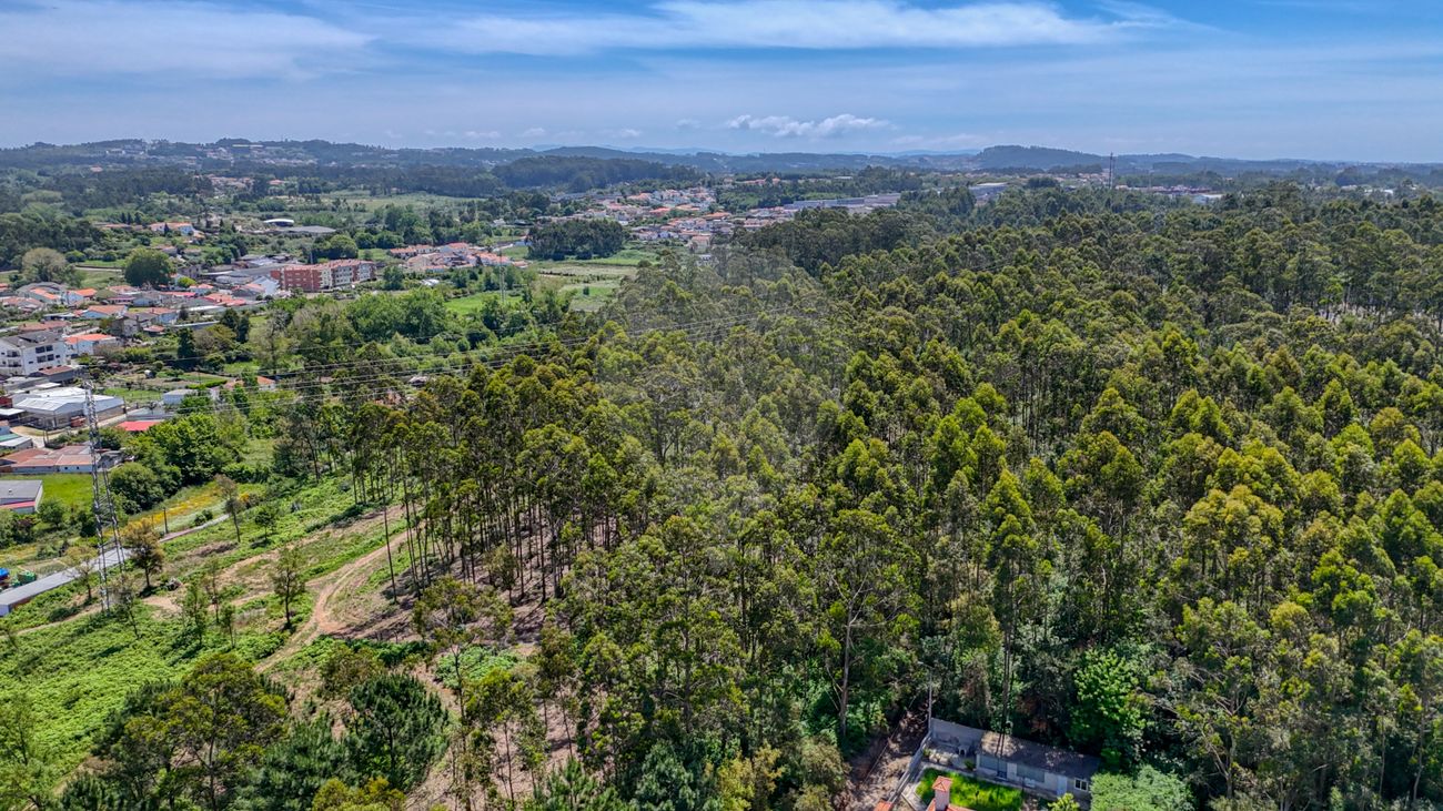listing 125471262-24 picture-0