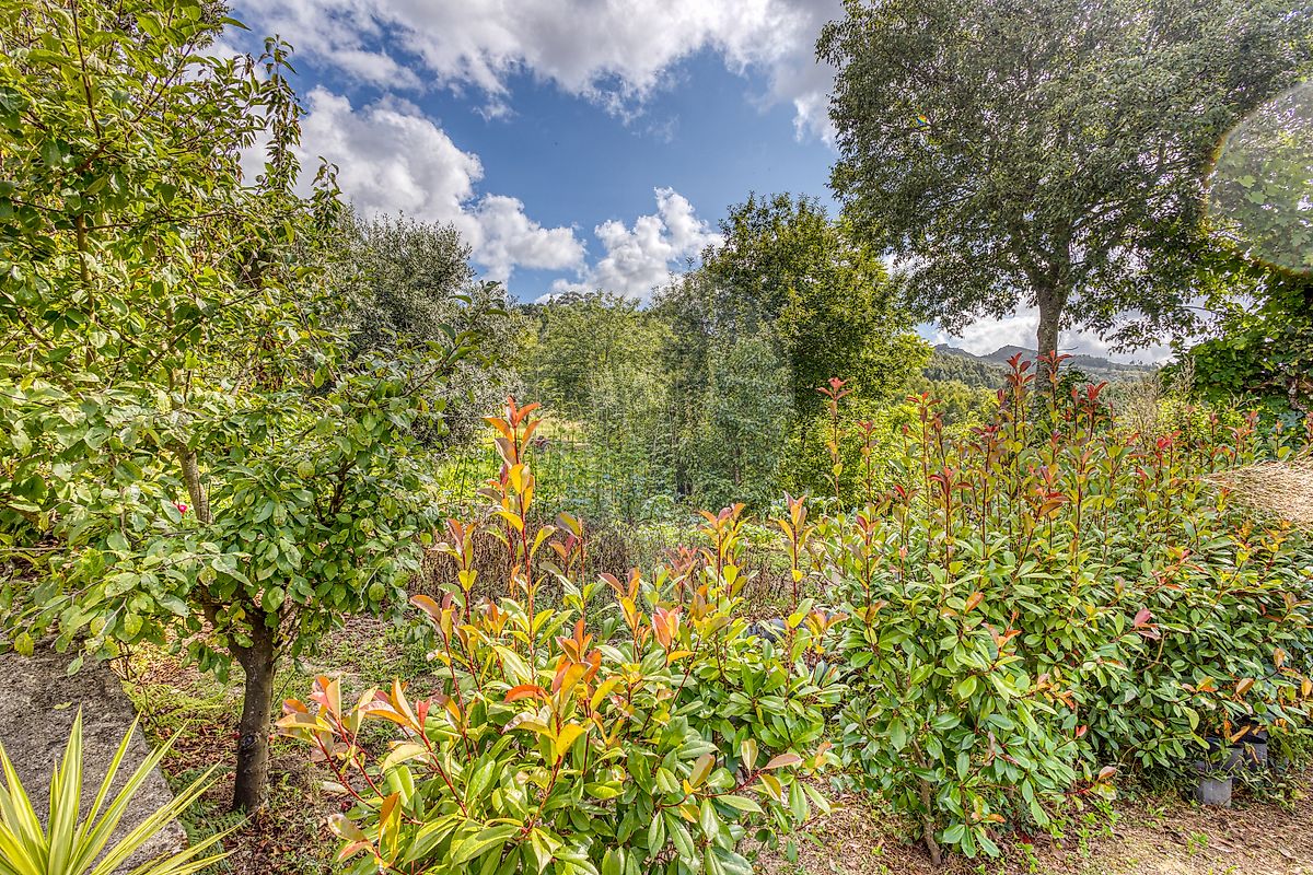 listing 125471068-165 picture-0