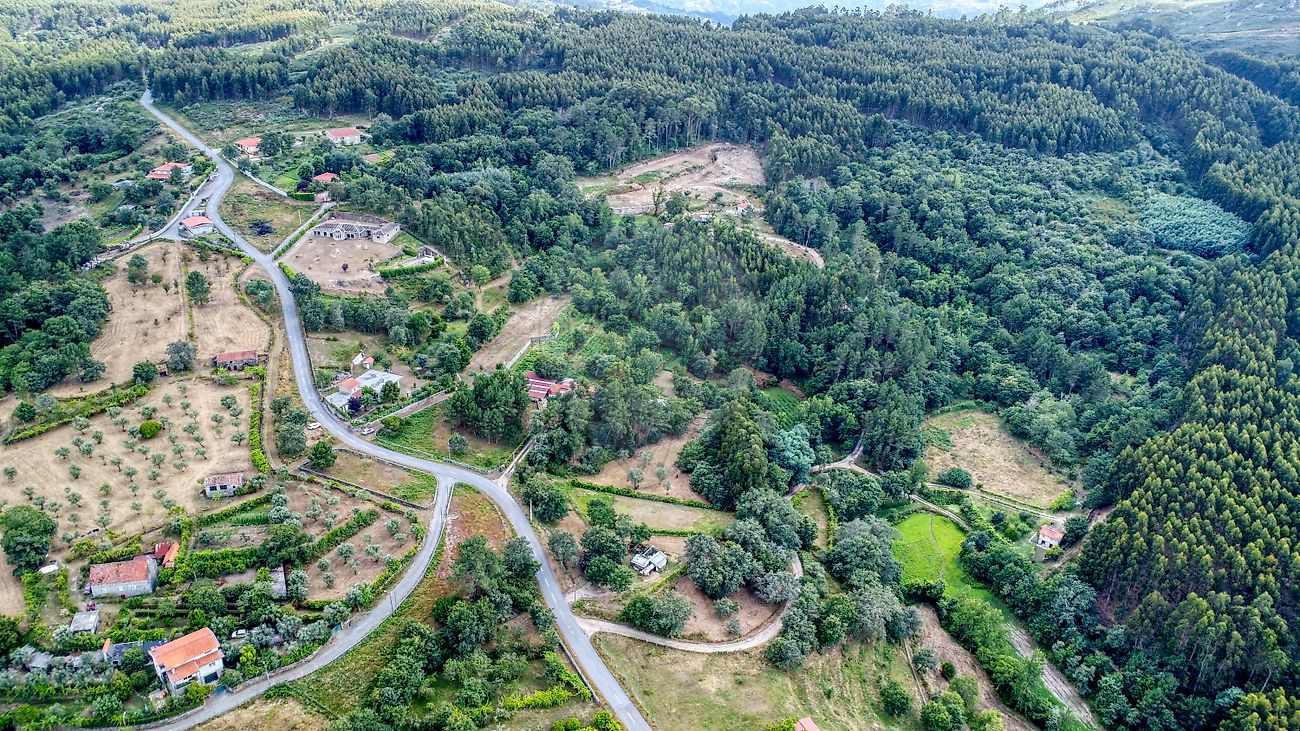 listing 125471068-165 picture-0