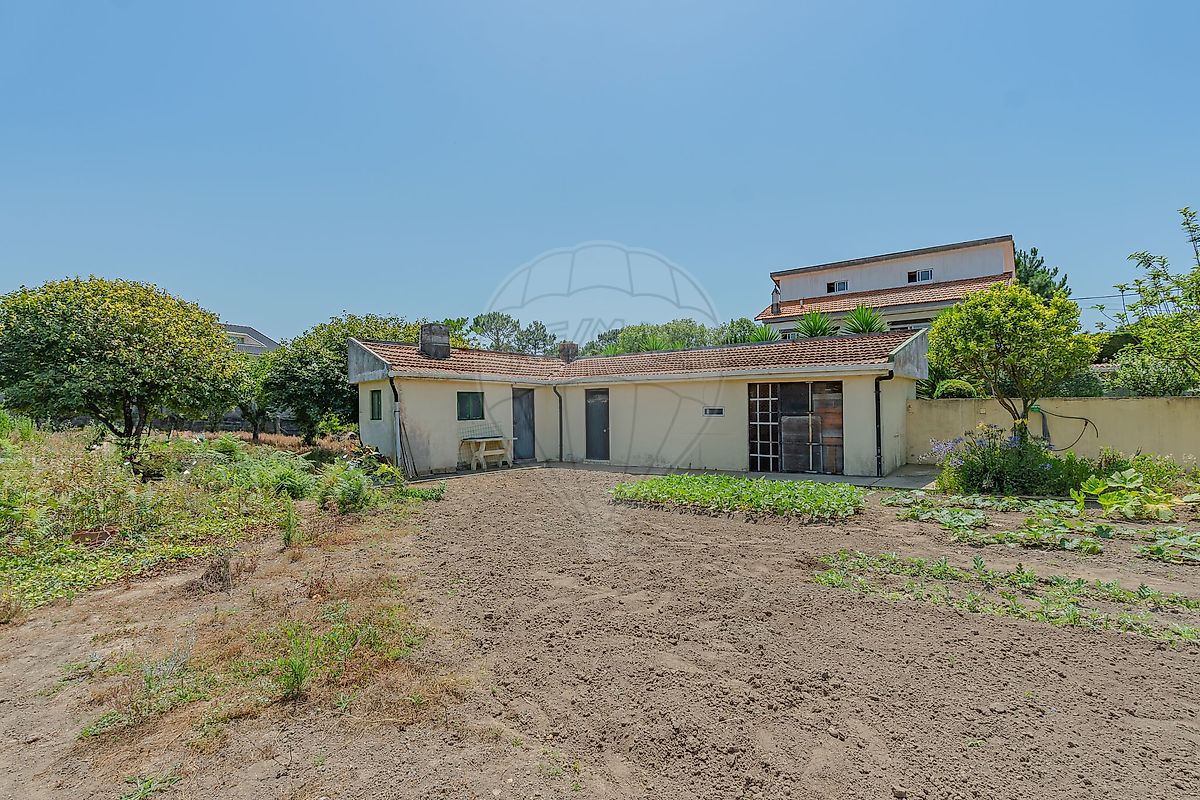listing 125471240-3 picture-0