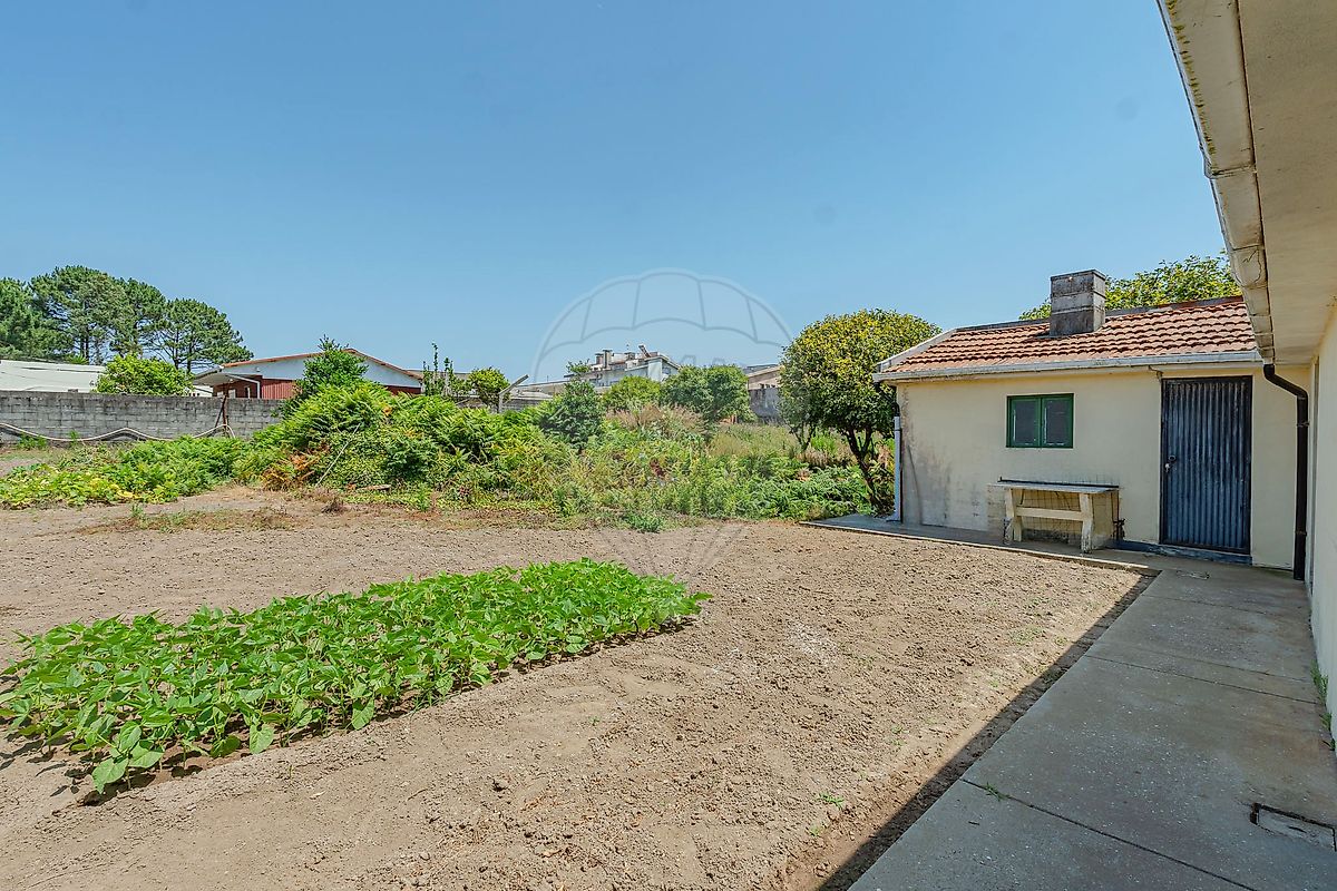 listing 125471240-3 picture-0