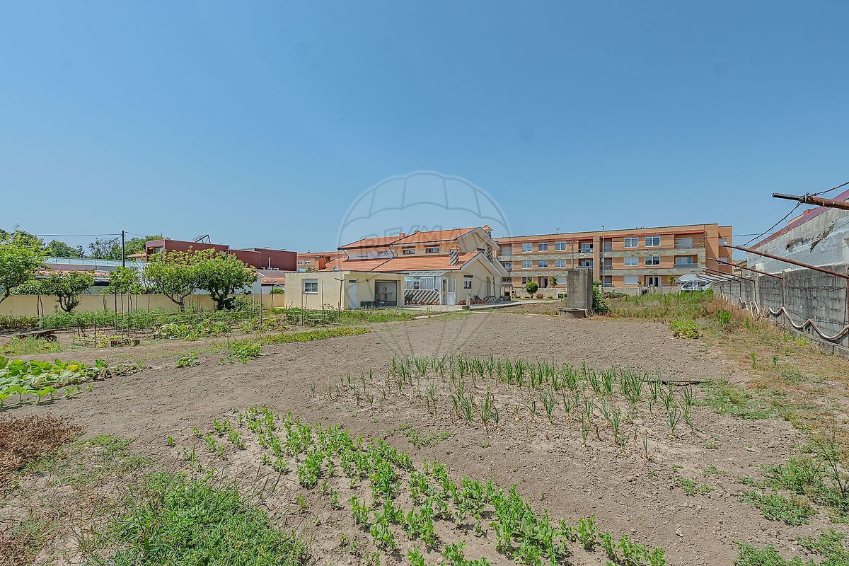 listing 125471240-3 picture-0