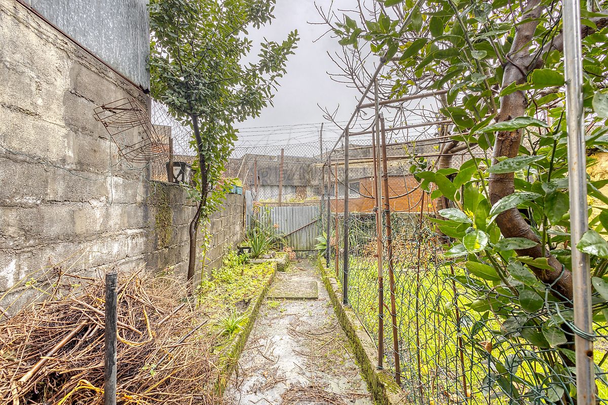 listing 125471152-79 picture-0
