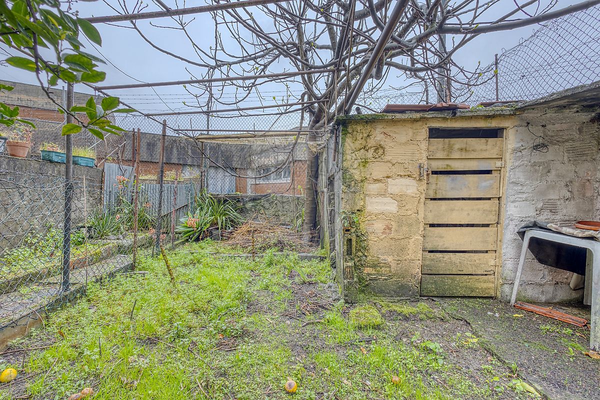 listing 125471152-79 picture-0