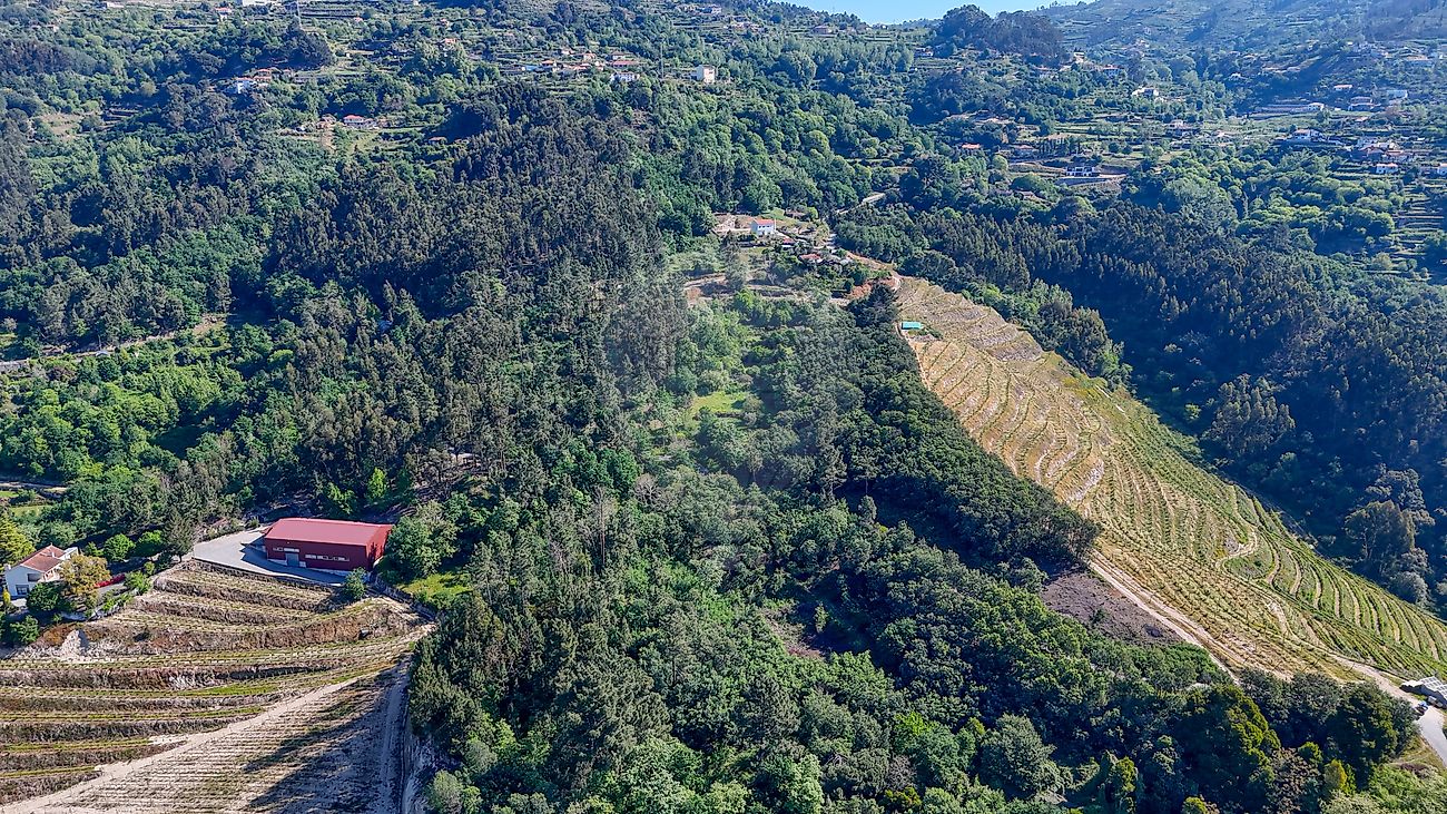 Moradia T2 à venda em Baião (Santa Leocádia) e Mesquinhata, Baião — foto 34
