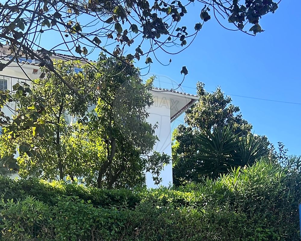 listing-picture-0