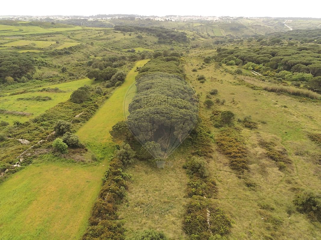 Terreno  à venda em São João das Lampas