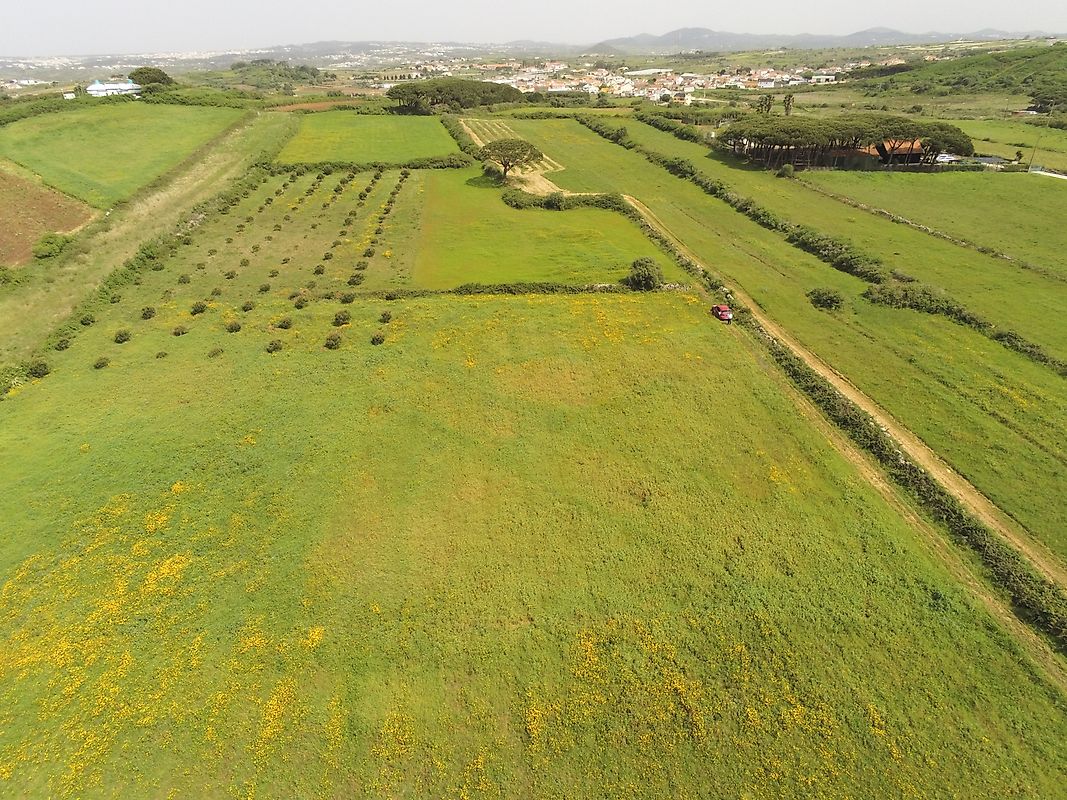Terreno  à venda em São João das Lampas