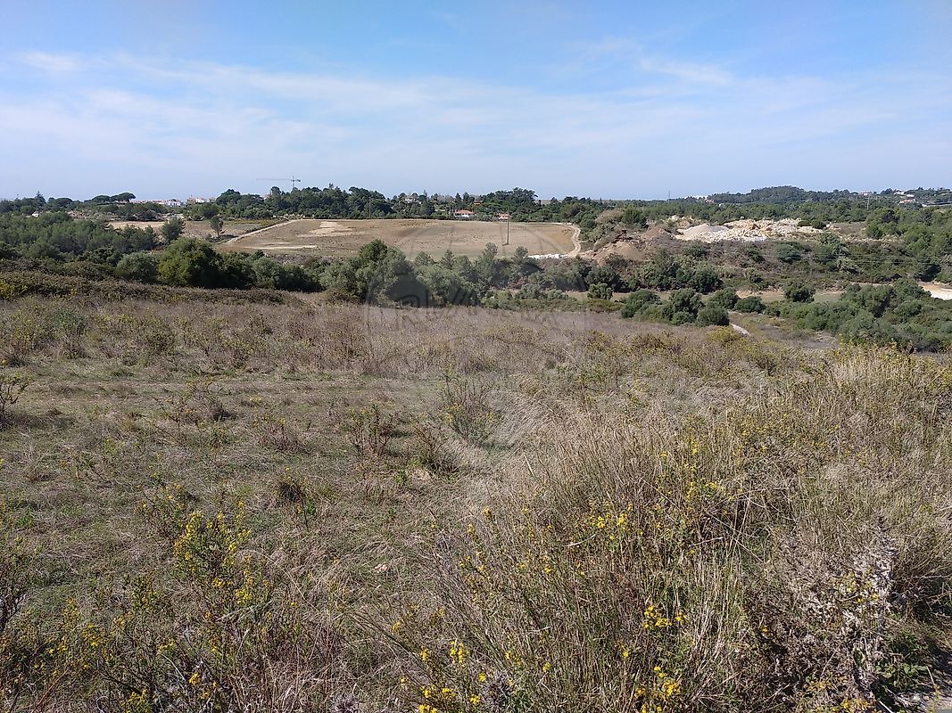 Terreno  à venda em Cabriz