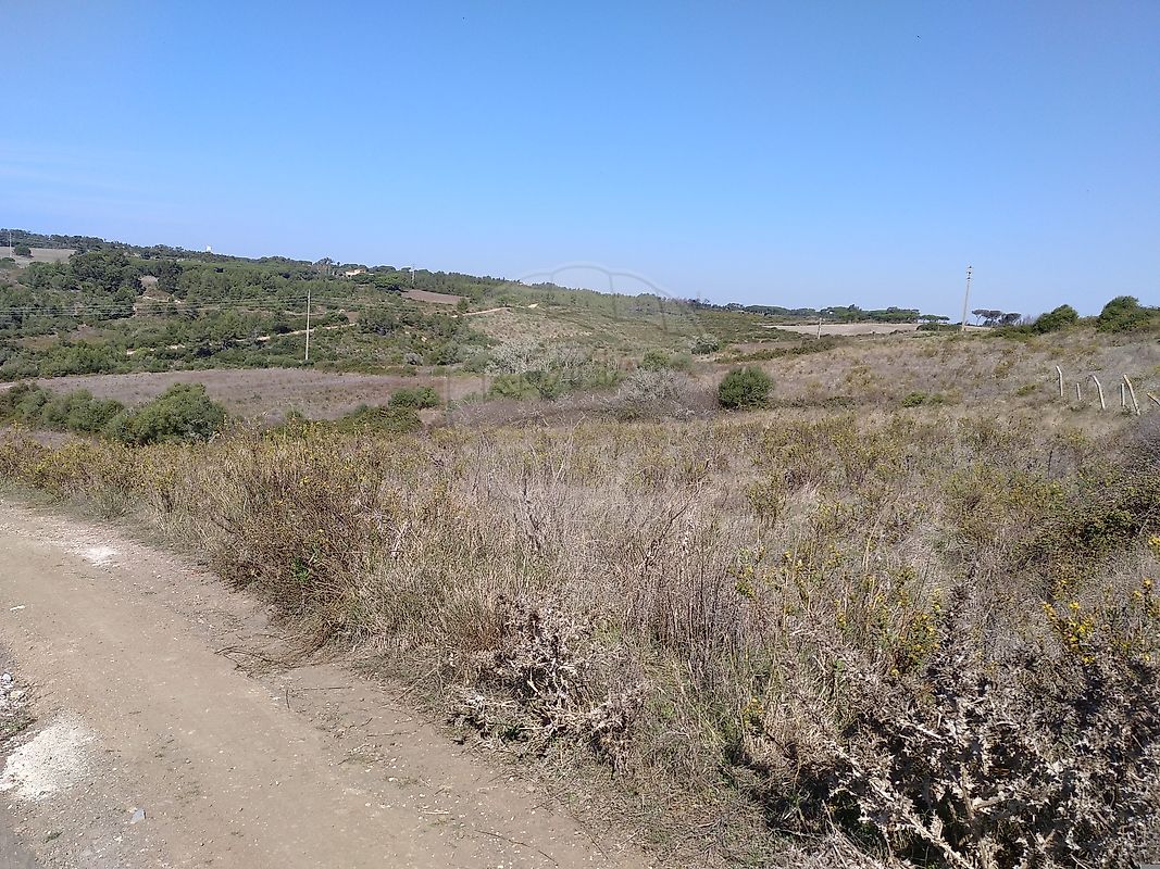 Terreno  à venda em Cabriz