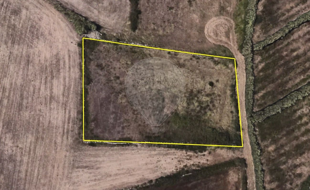 Terreno  à venda em Assafora