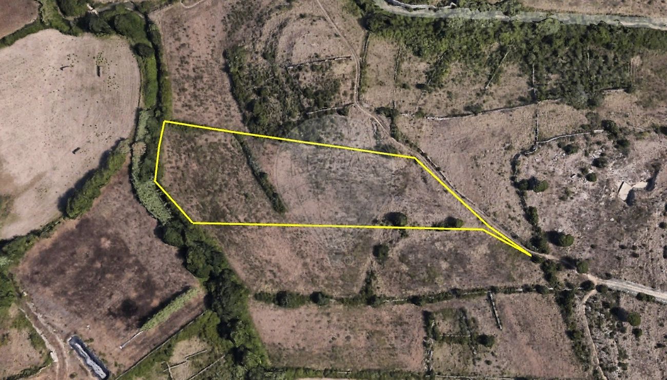 Terreno  à venda em Tojeira