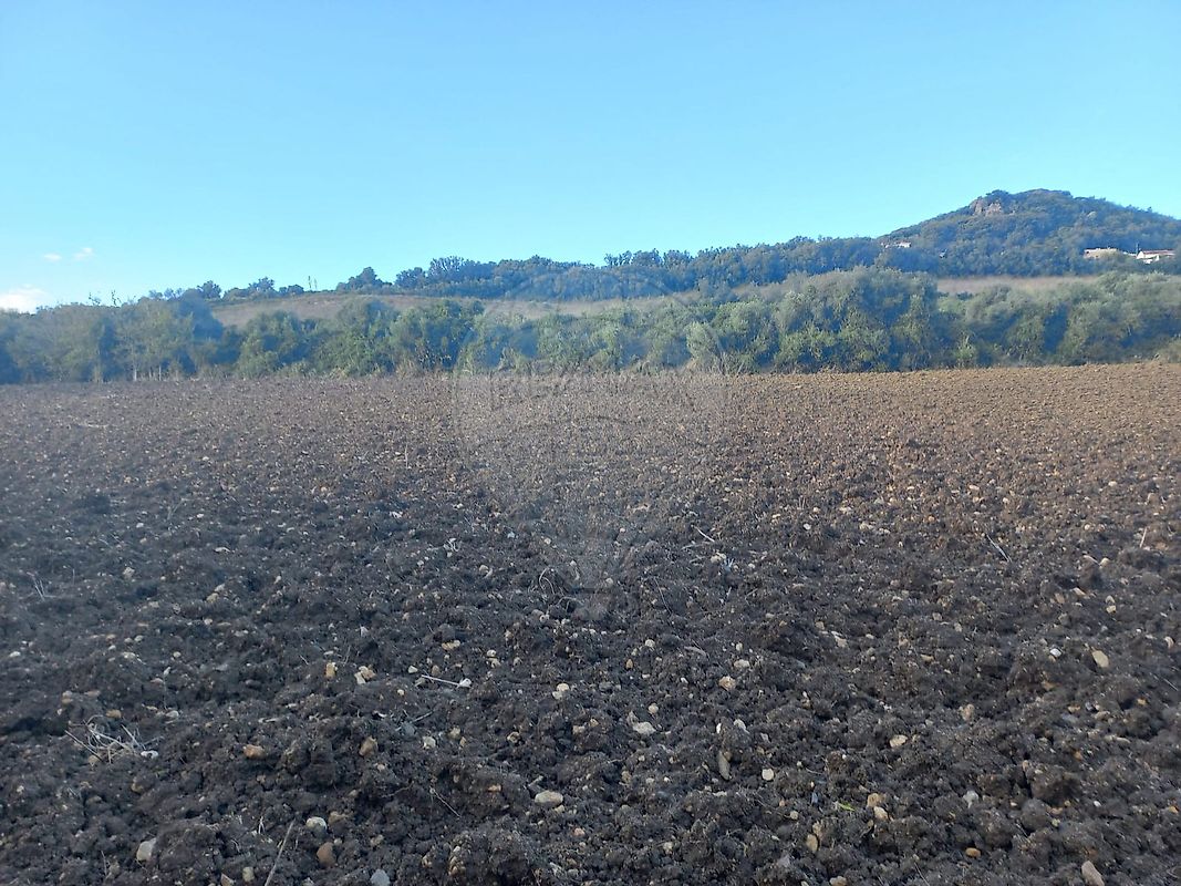 Terreno à venda em Cheleiros