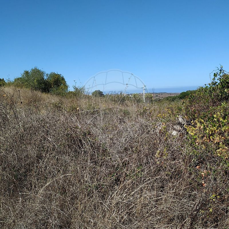 Terreno à venda em Odrinhas