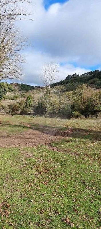 listing 125541002-70 picture-0