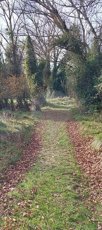 listing 125541002-70 picture-0