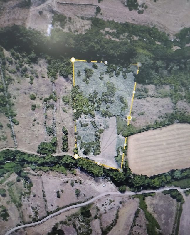 listing 125541002-70 picture-0