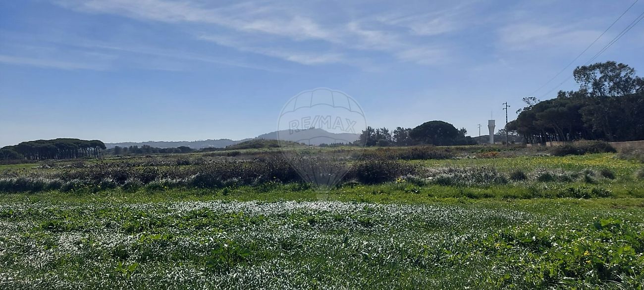 Terreno  à venda em Terrugem
