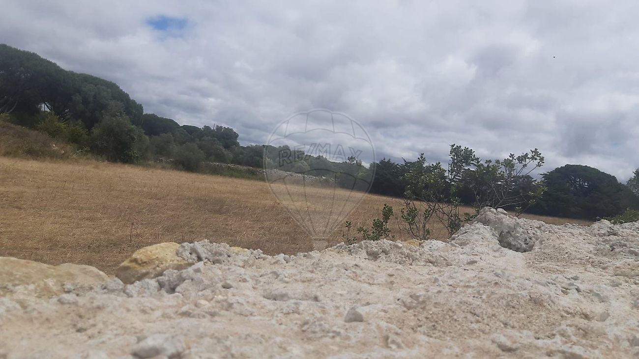 Apartamento T0 em São João das Lampas e Terrugem 2