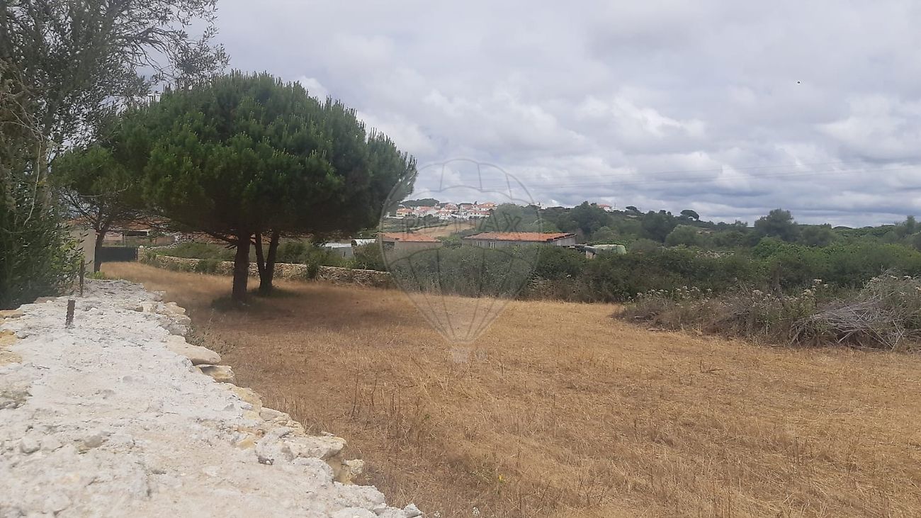 Apartamento T0 em São João das Lampas e Terrugem 6