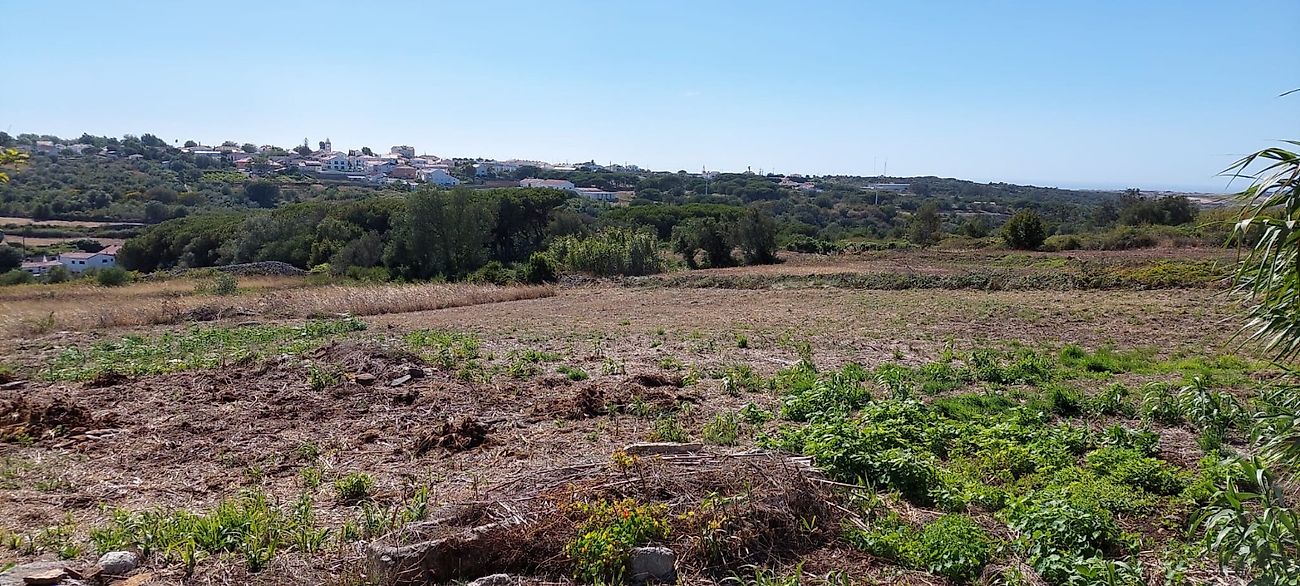 Terreno  à venda em Monte Arroio