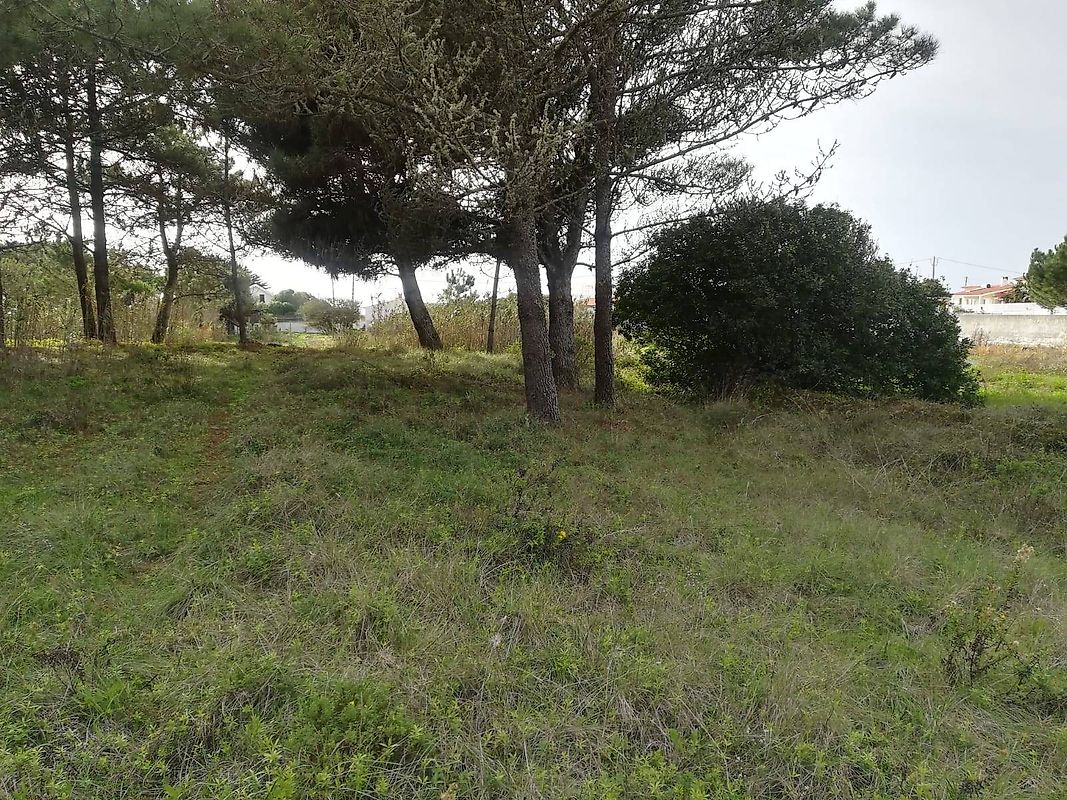 Terreno  à venda em São João das Lampas