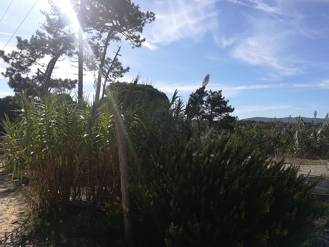 Terreno  à venda em Azenhas do Mar