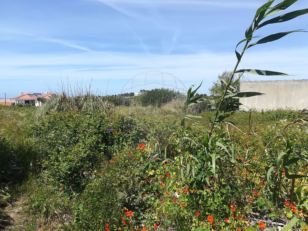 Terreno  à venda em Gouveia