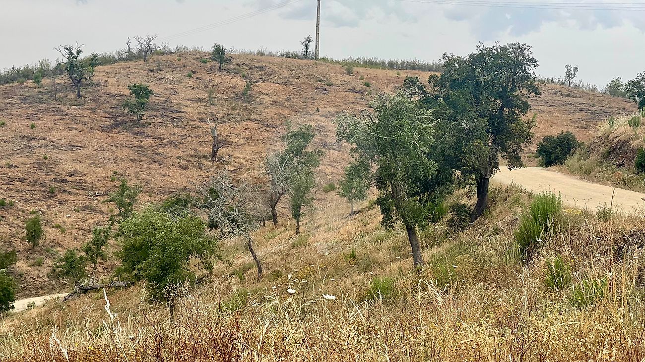 Terreno em Ourique