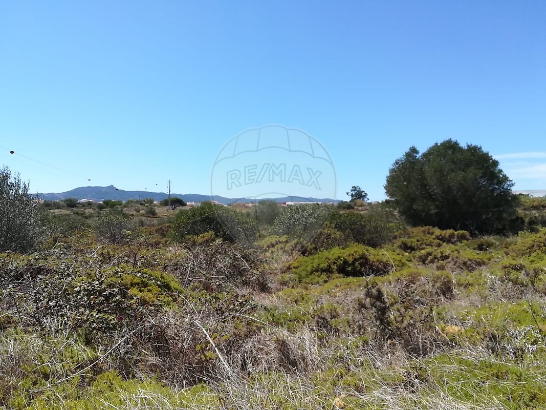 Terreno  à venda em Godigana