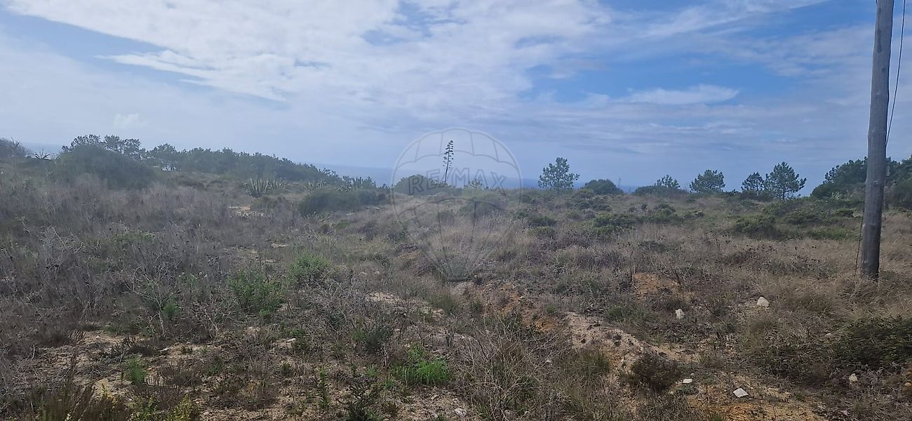 Apartamento T0 em São João das Lampas e Terrugem 2